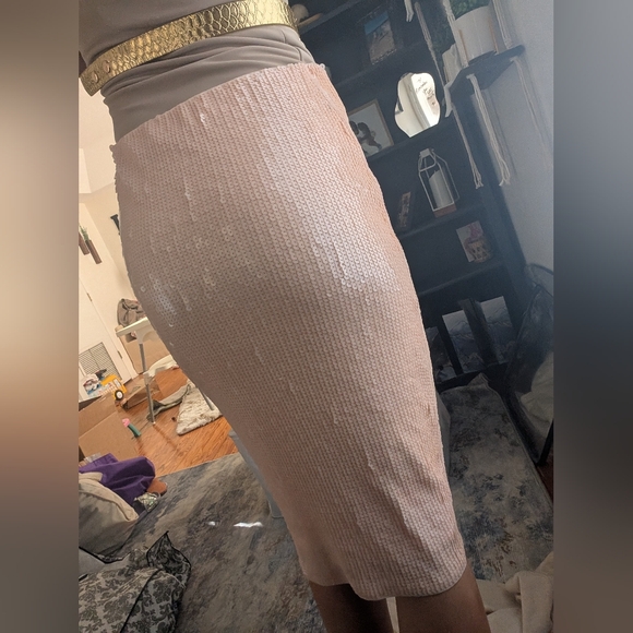 Express: Elegant Sequin Pencil Skirt - Cream/Pale Blush Pink Size S - Picture 3 of 6